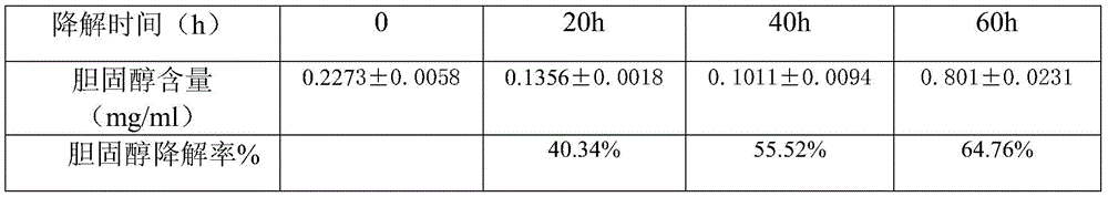 Dry red wine with good aging effects and method for manufacturing dry red wine