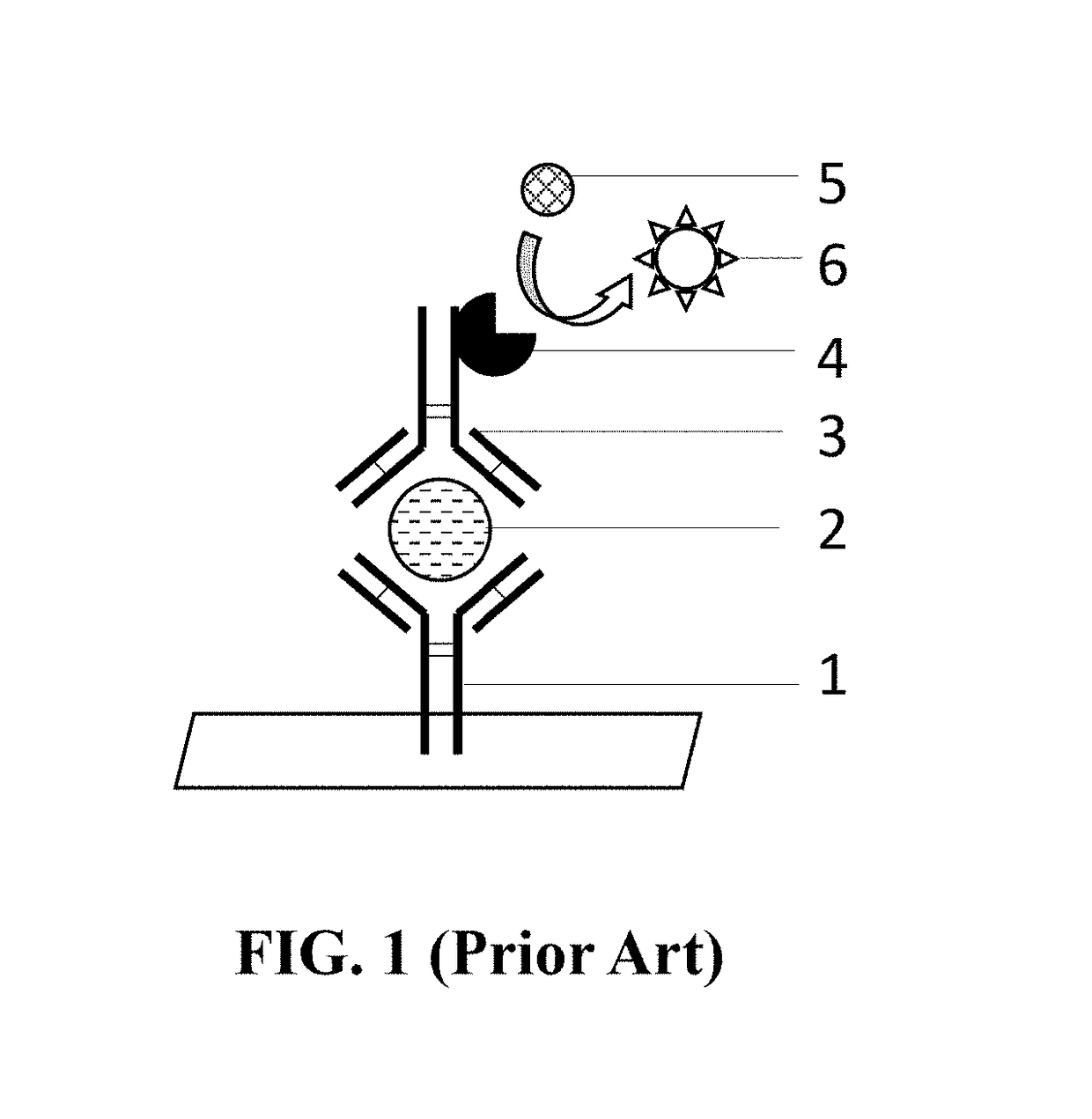 Molecular probe for signal amplification and kit and assay using the same