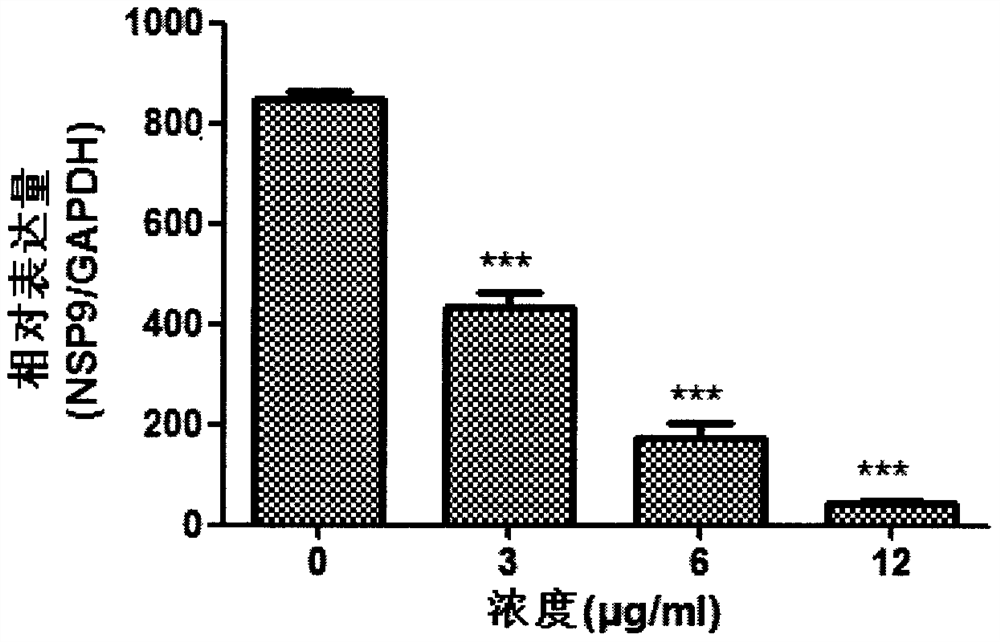 Application of patchoulone in the preparation of drugs for preventing and treating porcine reproductive and respiratory syndrome