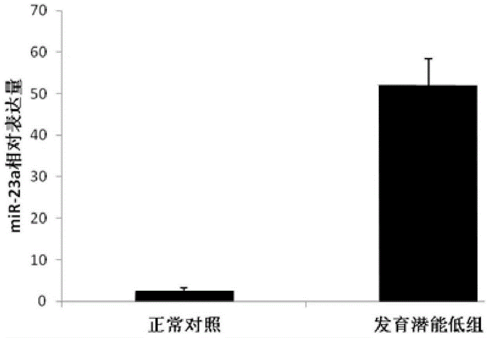 MicroRNA (micro ribonucleic acid) molecular marker miR-23a for quickly detecting quality of oocytes of sows and application of microRNA molecular marker miR-23a