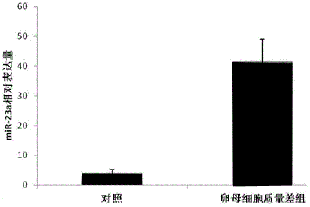 MicroRNA (micro ribonucleic acid) molecular marker miR-23a for quickly detecting quality of oocytes of sows and application of microRNA molecular marker miR-23a