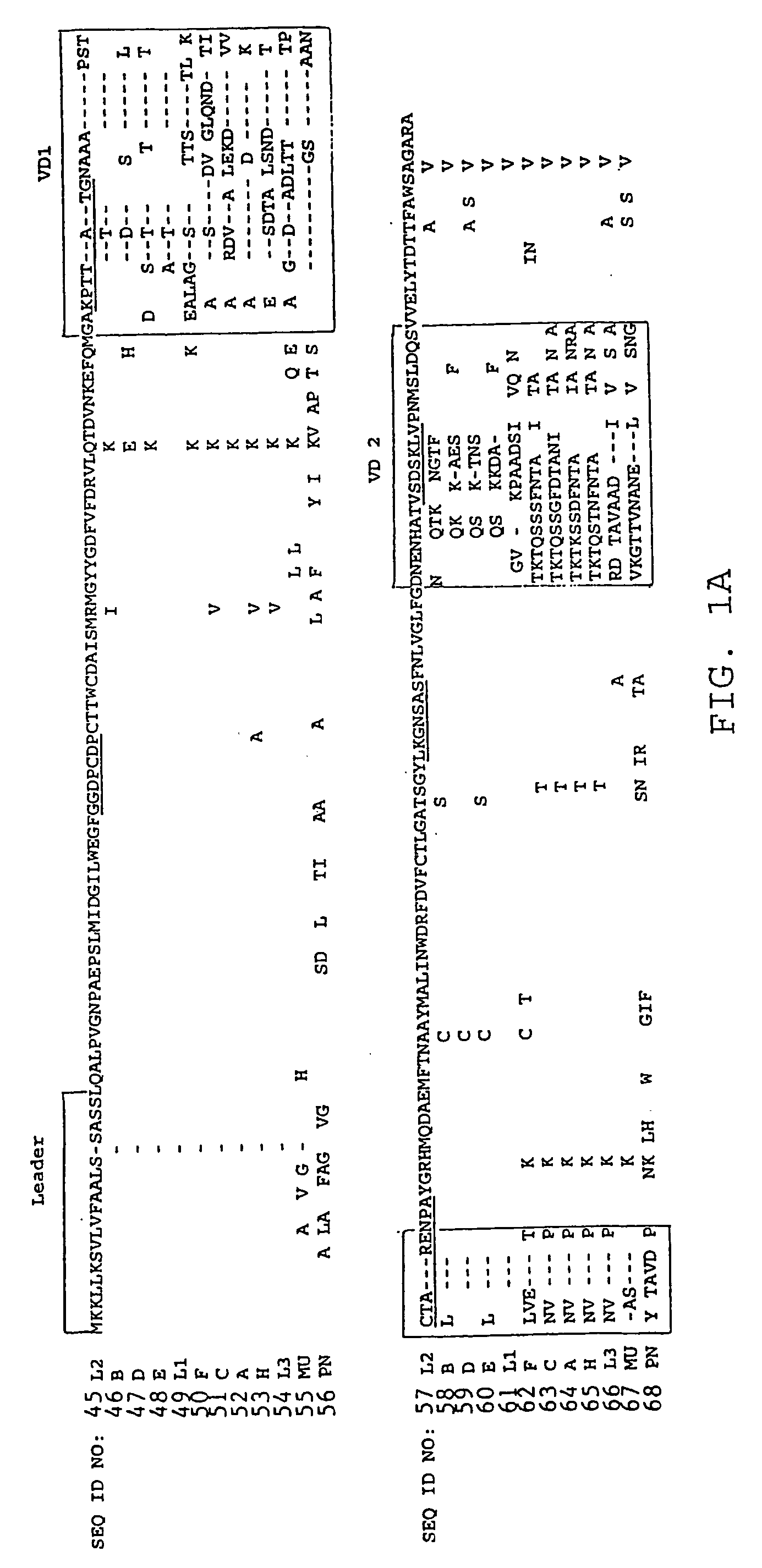 Diagnosis and management of infection caused by Chlamydia