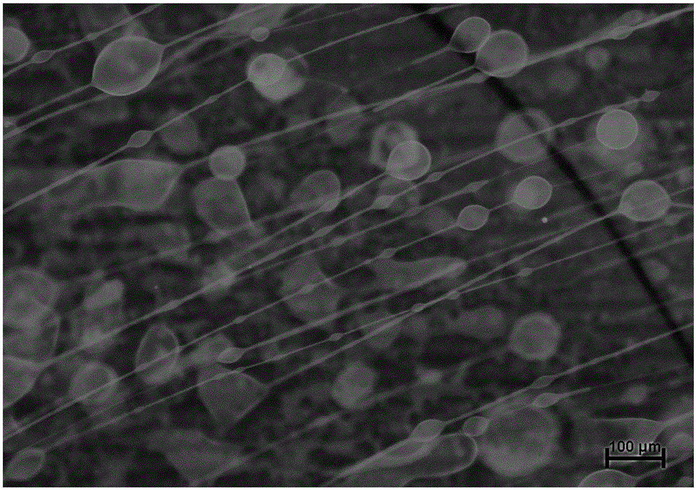 A Method for Simultaneous Preparation of Phospholipid Microtubules and Vesicles Using Electric Field of Point Surface Electrode