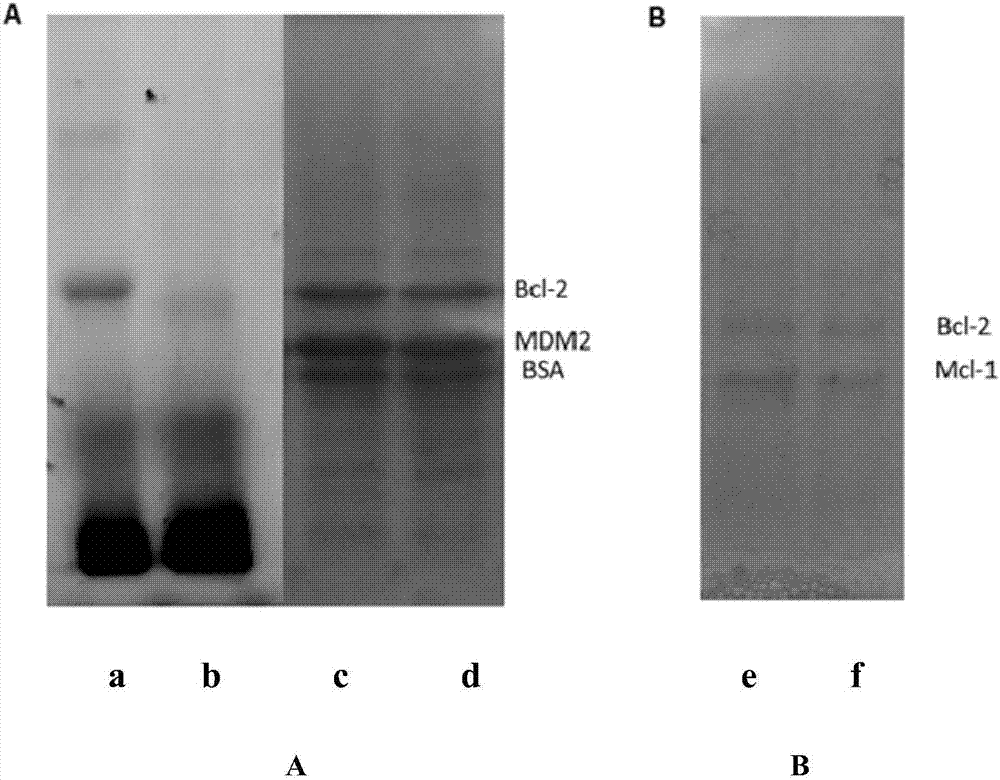 4-substituted naphthalimide compound and use thereof