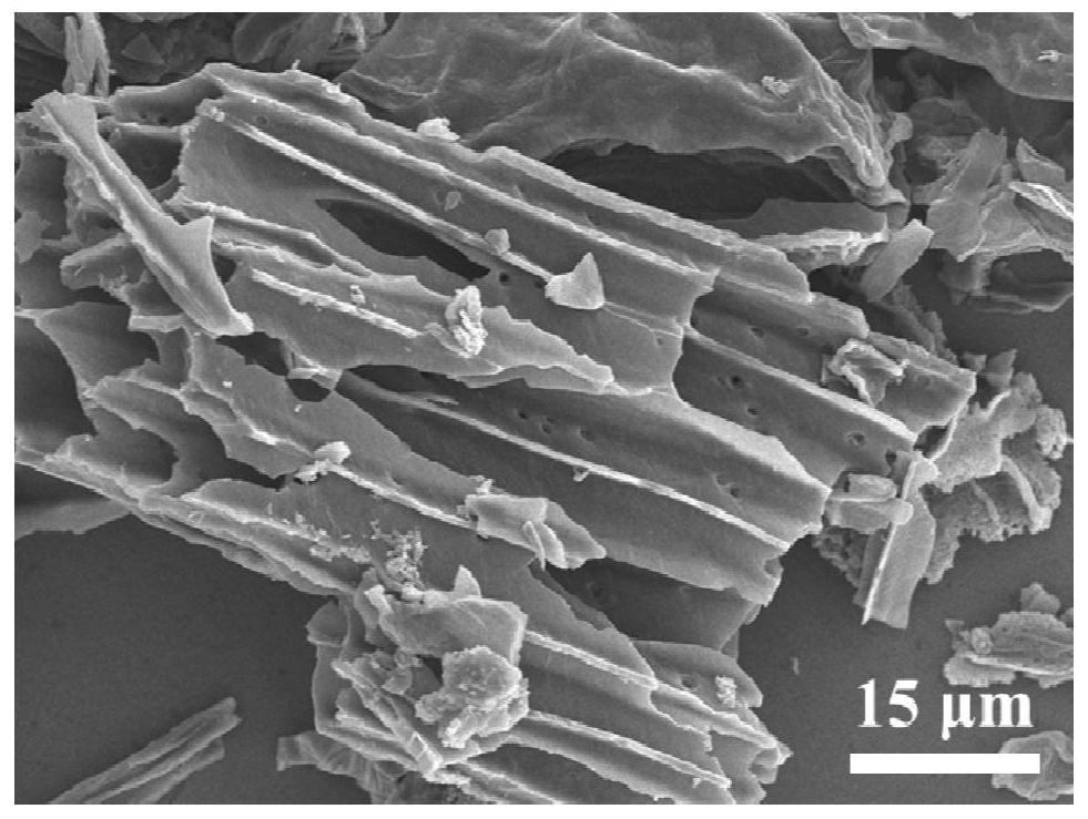 Method for preparing hard carbon material from biomass waste physalis pubescens leaves, and sodium ion battery