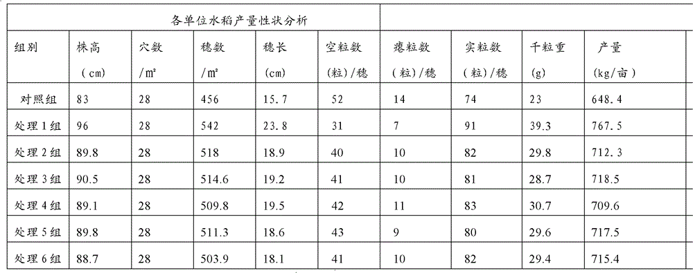 Biological organic fertilizer for improving stress resistance and output of paddy rice and preparation method thereof