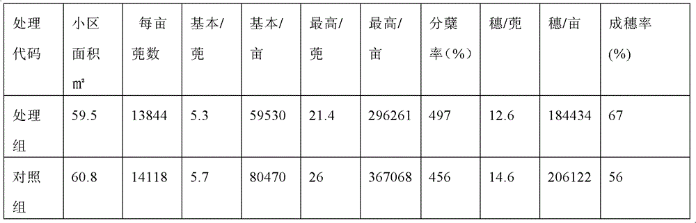 Biological organic fertilizer for improving stress resistance and output of paddy rice and preparation method thereof