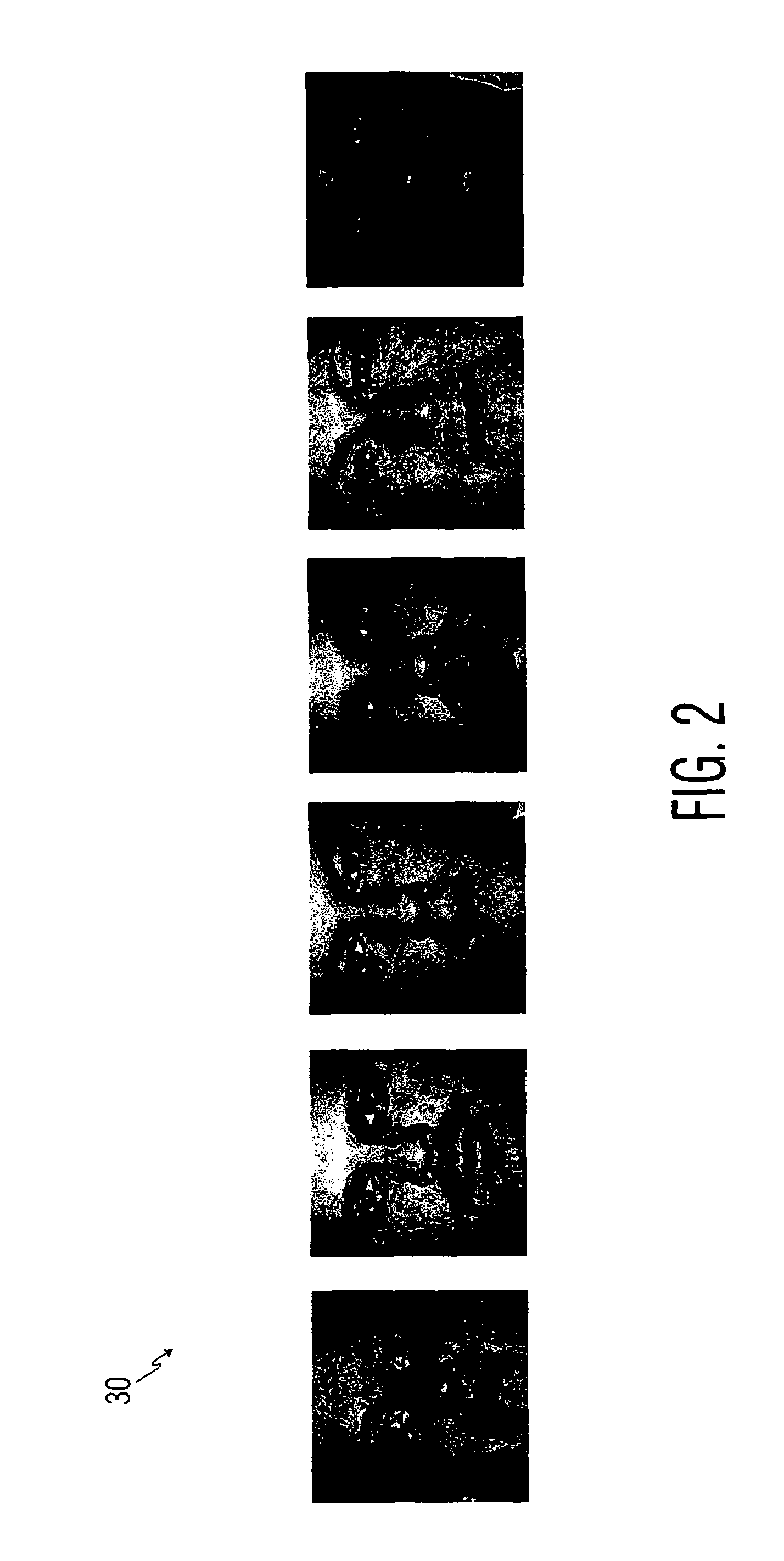 System and method of face recognition using proportions of learned model