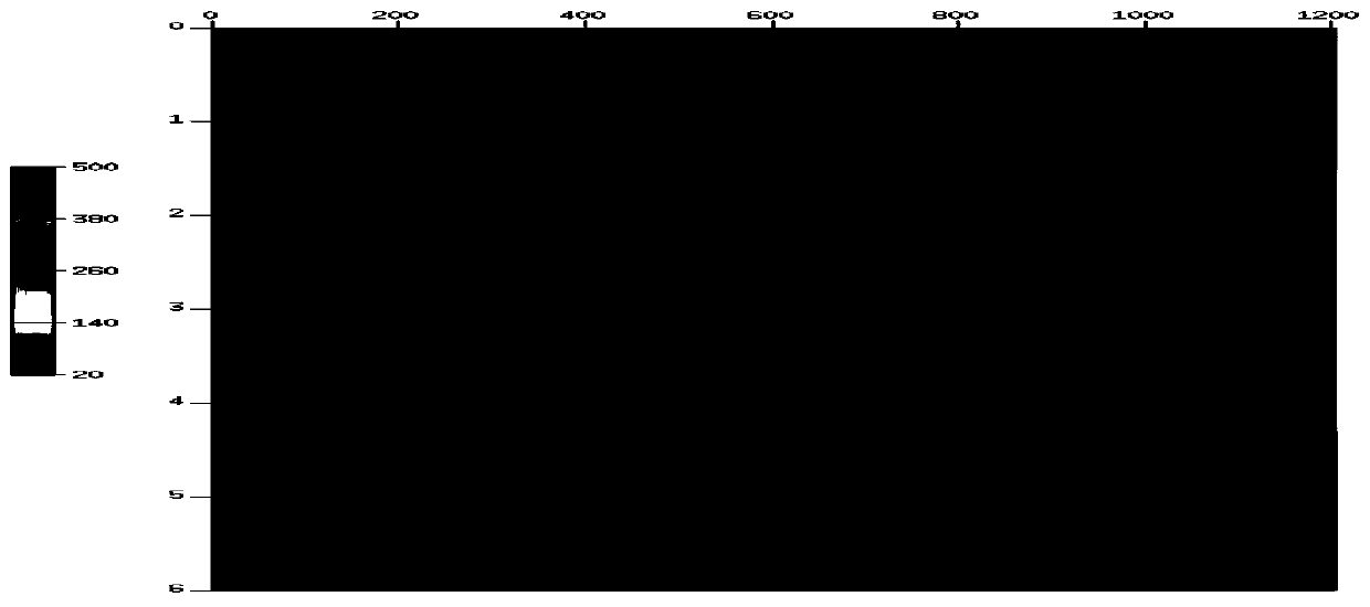 Prestack depth reverse time migration imaging method and system of absorption attenuation medium