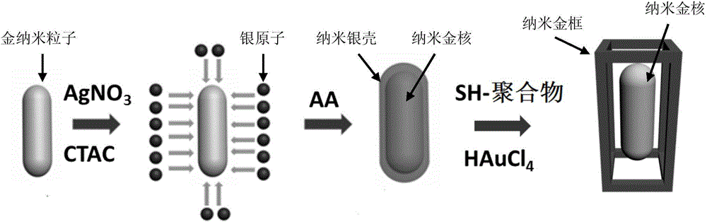 Nano-gold material with three-dimensional photo frame and photo structure, synthesis method for nano-gold material and application of nano-gold materia