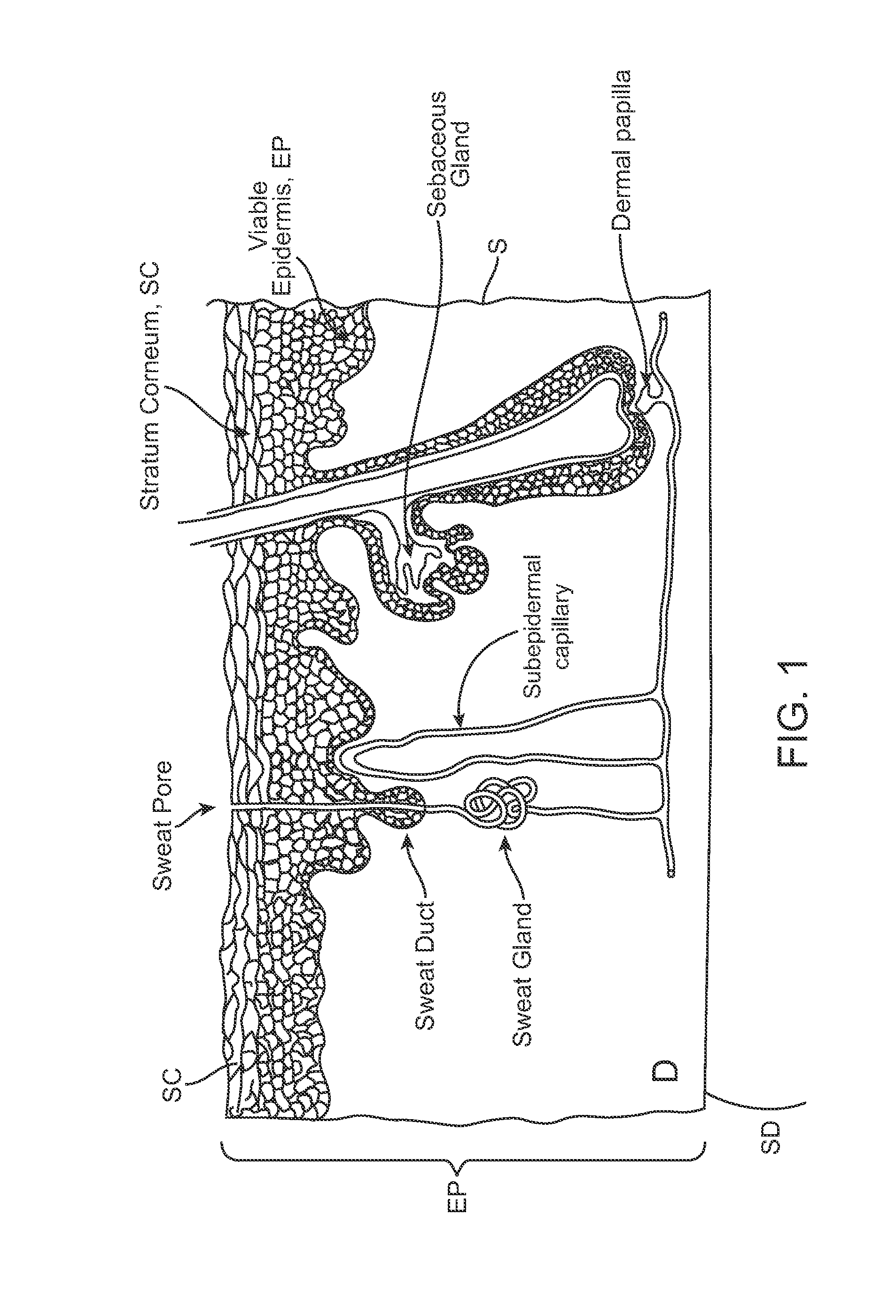 Iontophoretic apparatus and method for marking of the skin