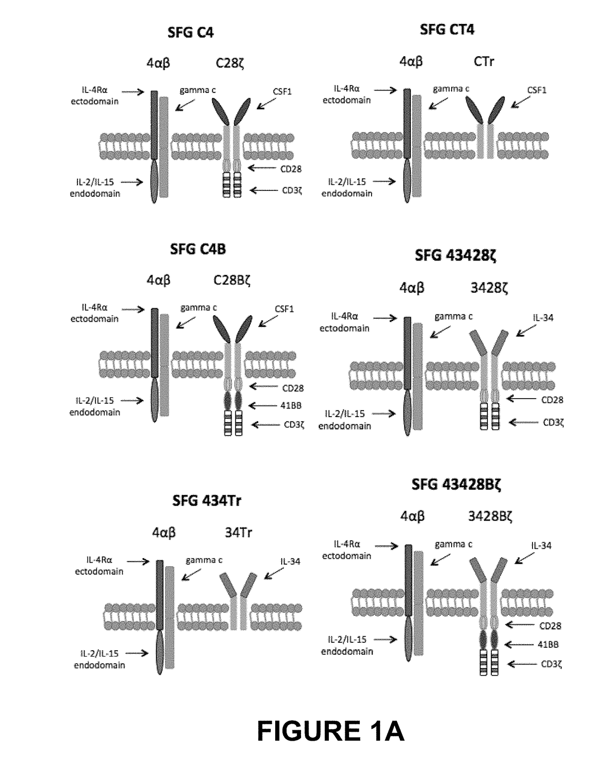 Therapeutic agents