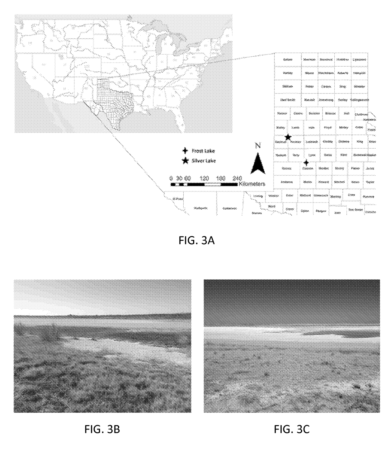 Portable Apparatus for Soil Chemical Characterization