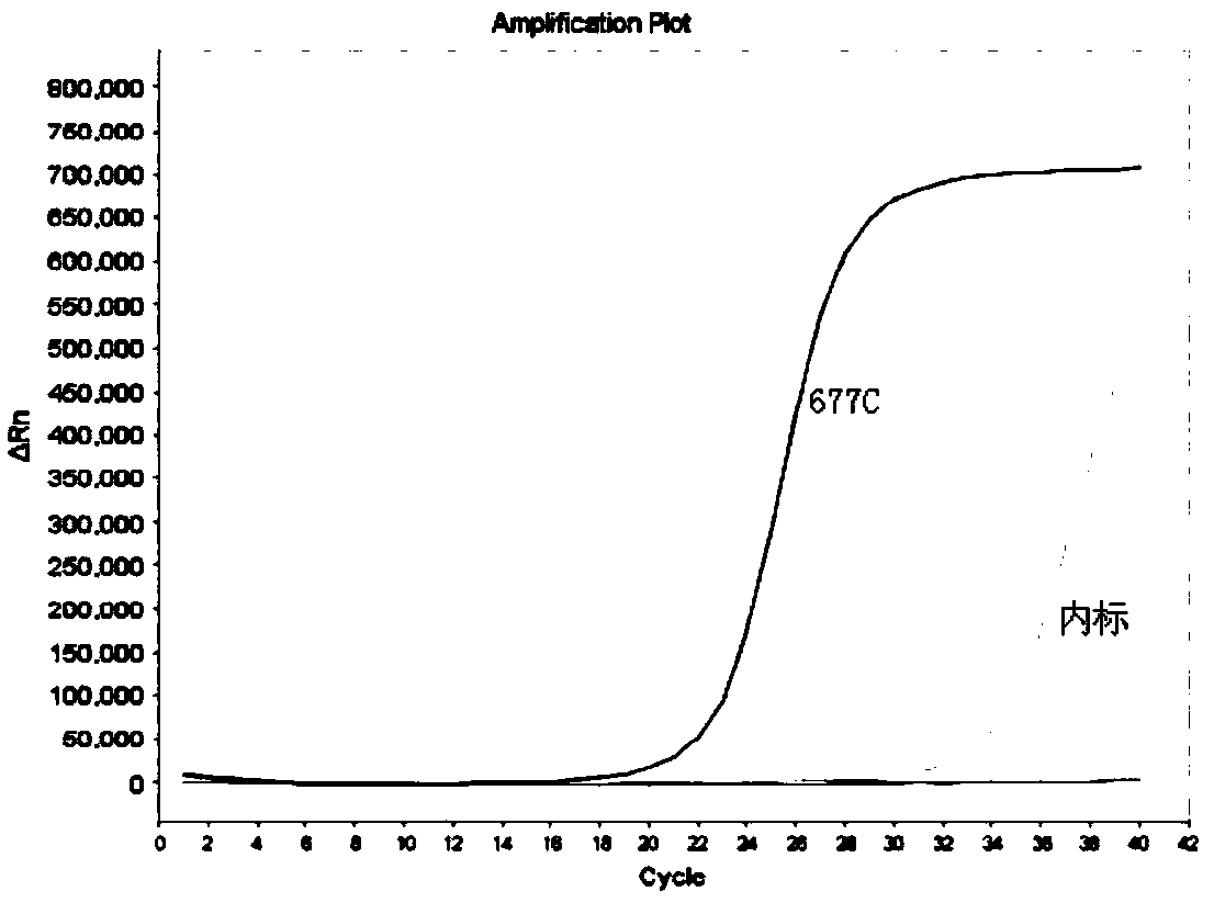 Kit for detecting genotyping of folic acid metabolizing genes