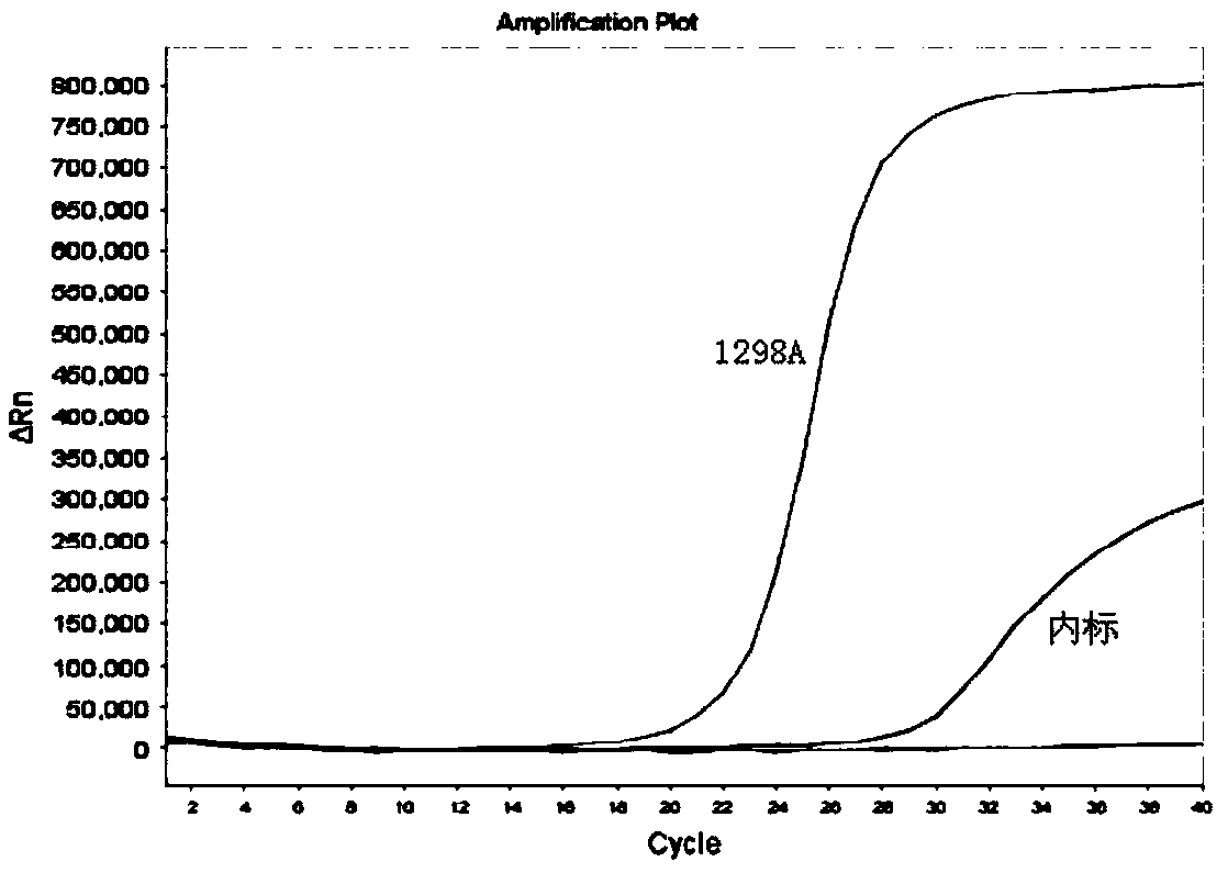 Kit for detecting genotyping of folic acid metabolizing genes