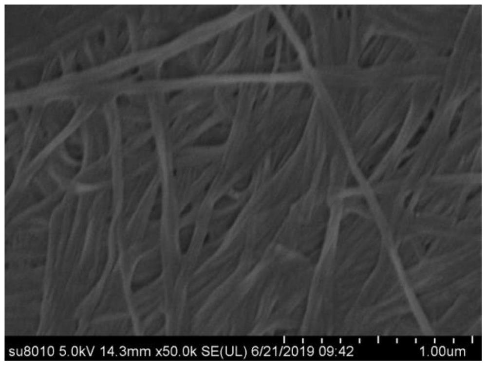 Preparation method of bacterial cellulose, bacterial cellulose-chitosan composite gel skincare mask and preparation method thereof