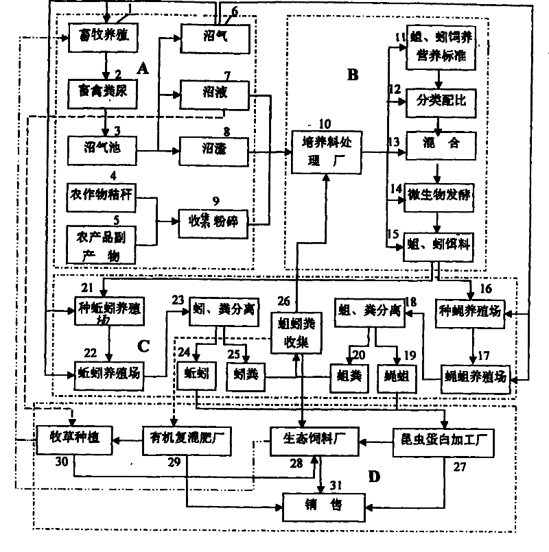 Fly maggot, earthworm ecological efficient circulation culturing method and culturing apparatus therefor