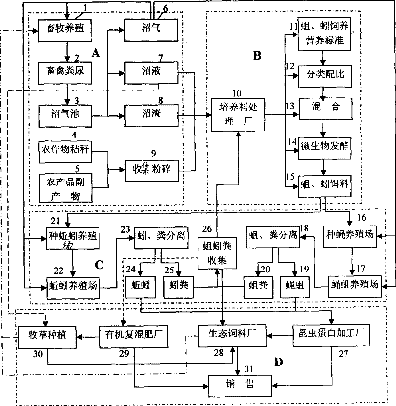 Fly maggot, earthworm ecological efficient circulation culturing method and culturing apparatus therefor