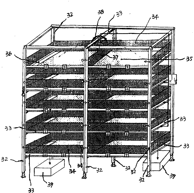 Fly maggot, earthworm ecological efficient circulation culturing method and culturing apparatus therefor