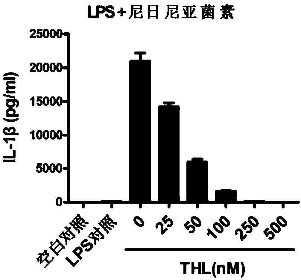 Application of thiolutin in inhibiting nlrp3 inflammasome activation