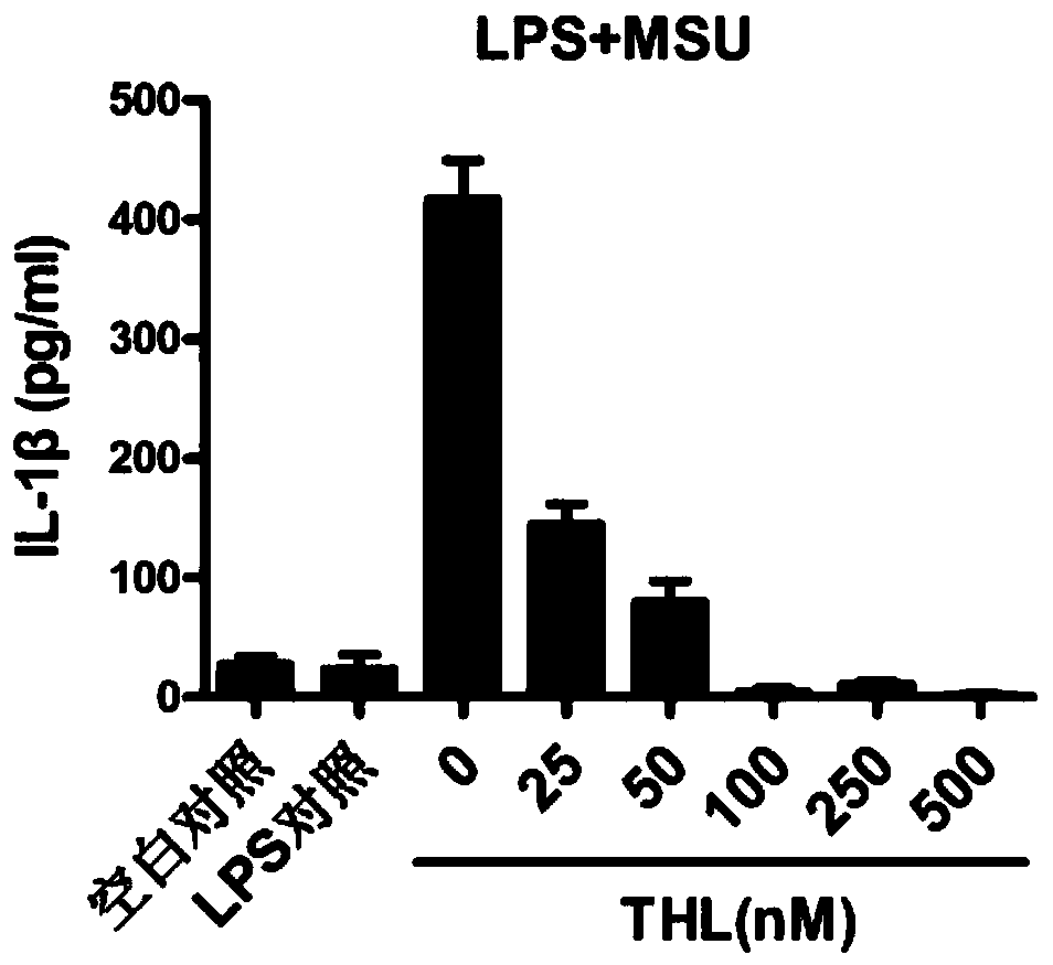 Application of thiolutin in inhibiting nlrp3 inflammasome activation