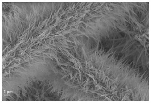 A method for preparing nanomaterials with different dimensions based on the same metal iron ion