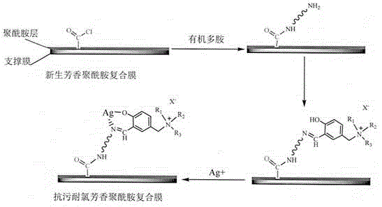 Preparation method of anti-pollution chlorine-resistant aromatic polyamide composite membrane