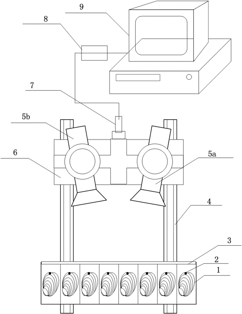 Marine water toxicity biological monitoring equipment based on binocular vision technology