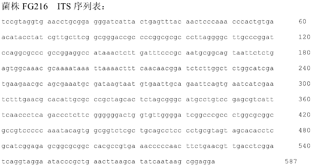 Marine microbial stachybotrys longispora and fibrinolytic active compound produced by marine microbial stachybotrys longispora