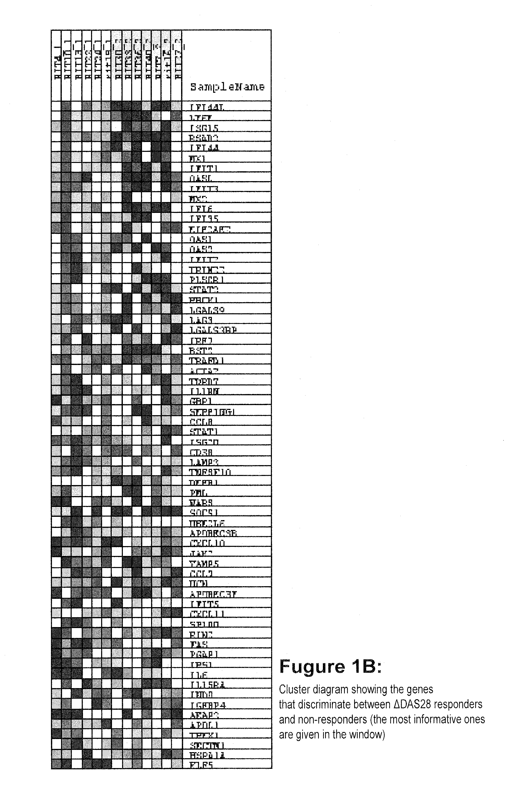 Method for prognosticating the clinical response of a patient to b-lymphocyte inhibiting or depleting therapy