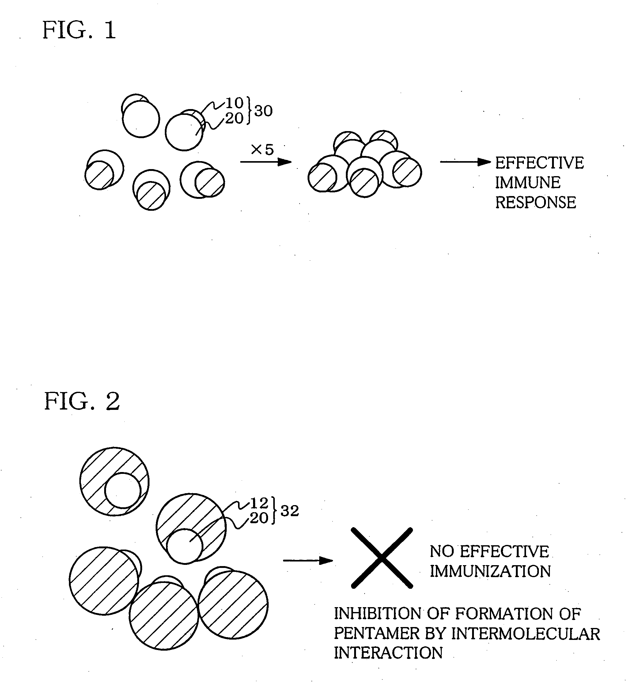 Hetero type pentamer recombinant vaccine