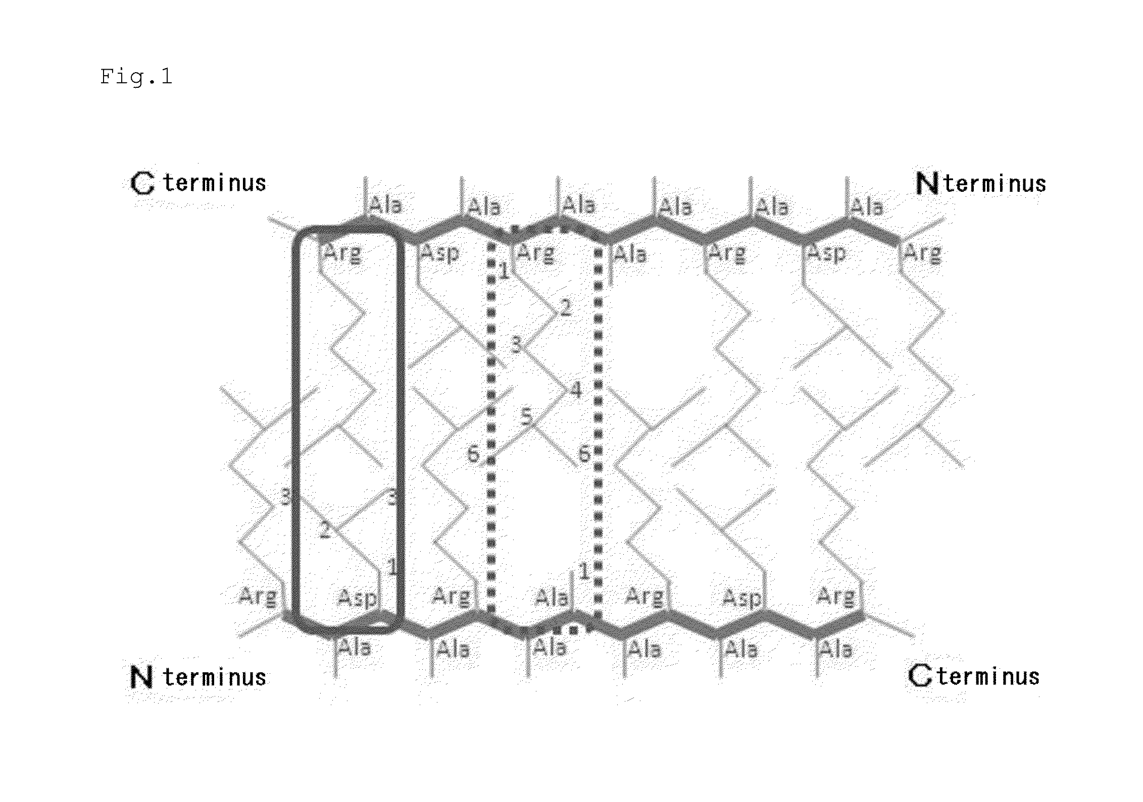 Self-assembling peptide and peptide gel with high strength