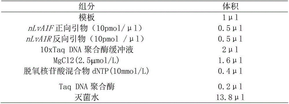 Application of anti-WSSV candidate molecular marker of nLvALF1 gene of Litopenaeus vannamei to genetic breeding of Litopenaeus vannamei