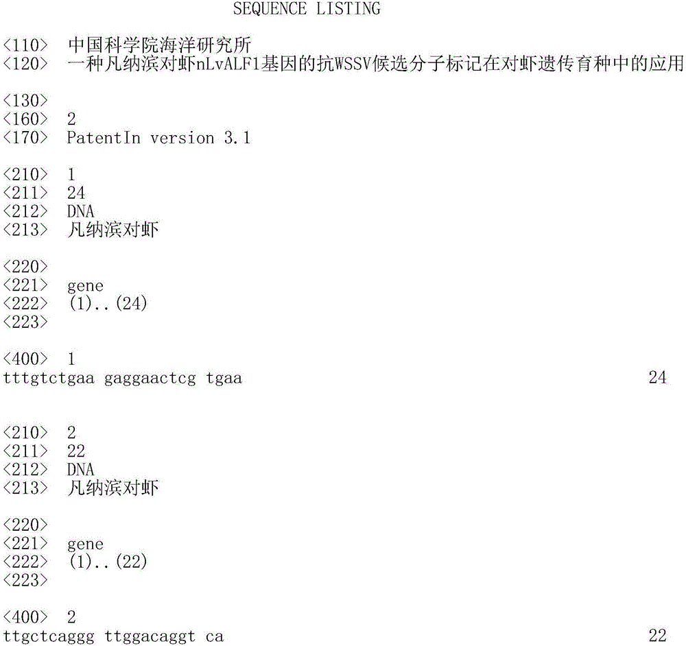 Application of anti-WSSV candidate molecular marker of nLvALF1 gene of Litopenaeus vannamei to genetic breeding of Litopenaeus vannamei