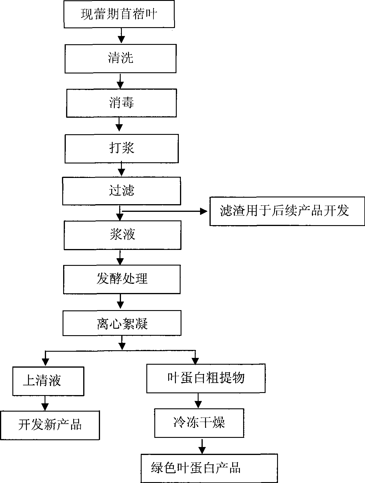 Extraction method of alfalfa leaf protein