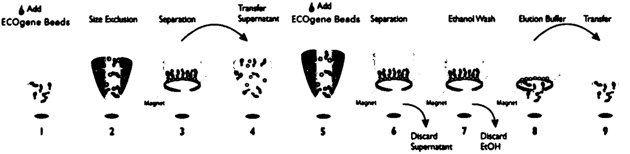 A kit for nucleic acid purification or fragment screening and its application method