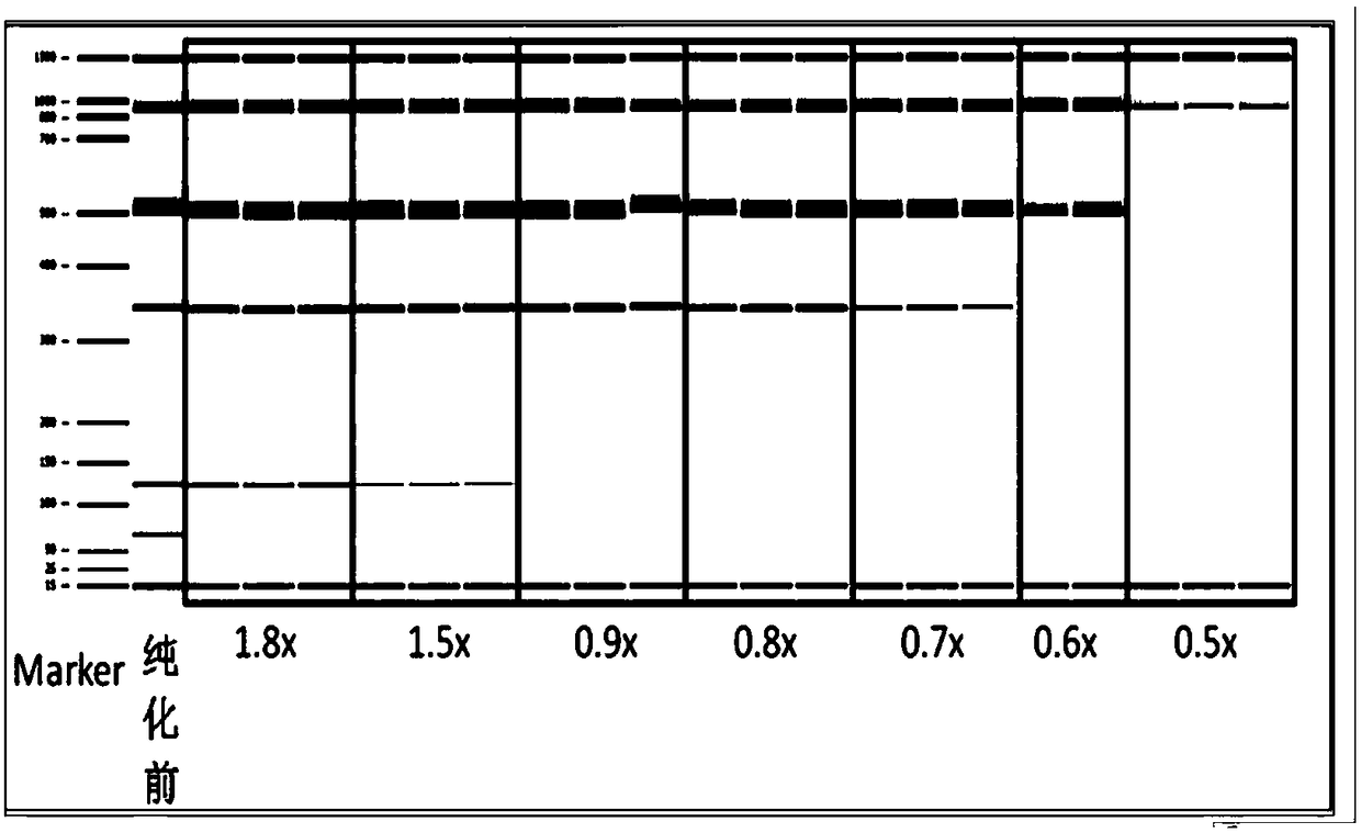 A kit for nucleic acid purification or fragment screening and its application method