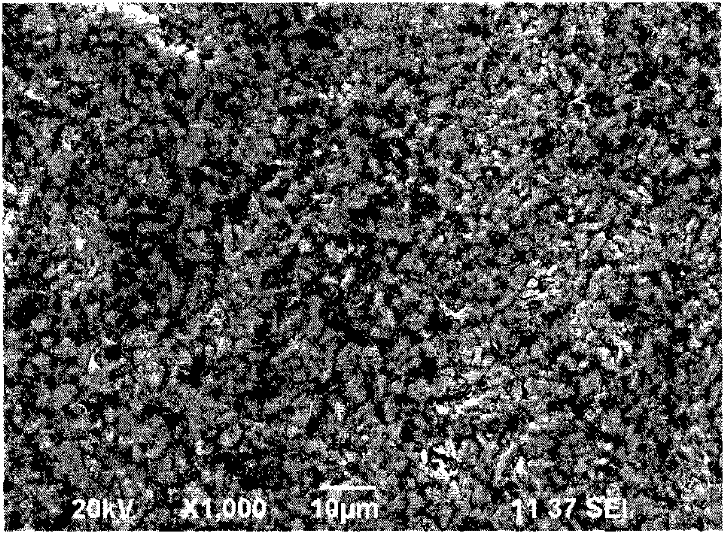 A kind of high temperature proton transport composite membrane for fuel cell and preparation method