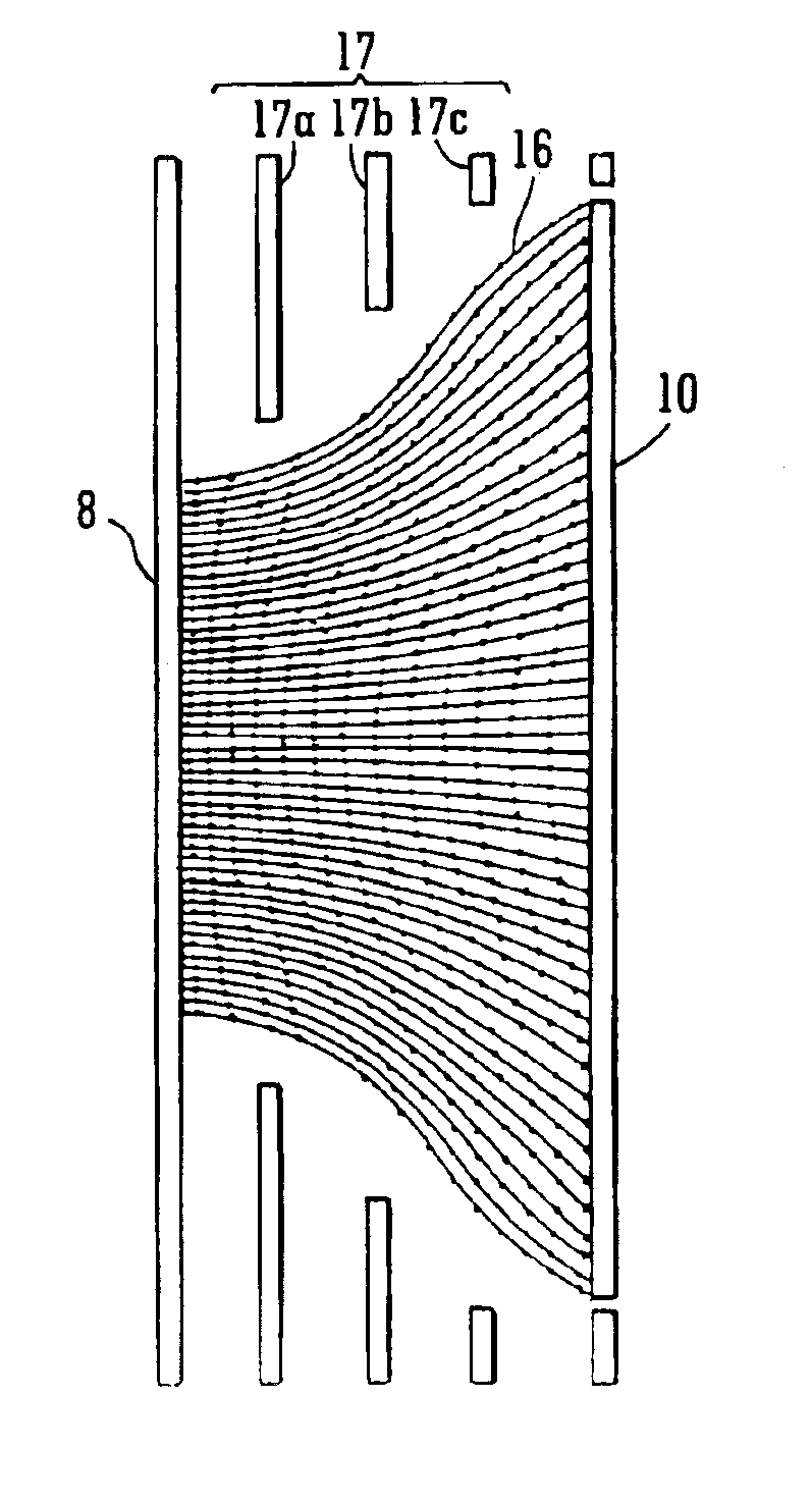 Ion detector