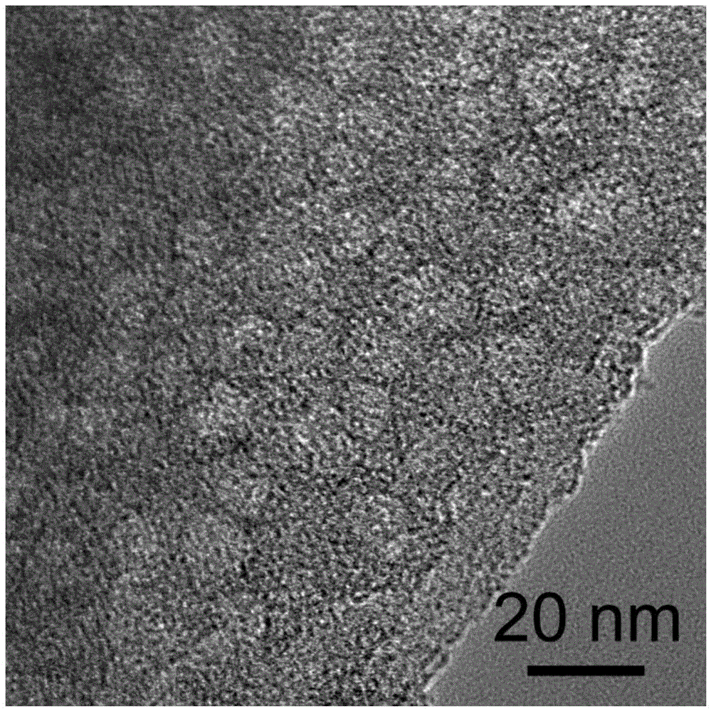 Porous nanocarbon slice