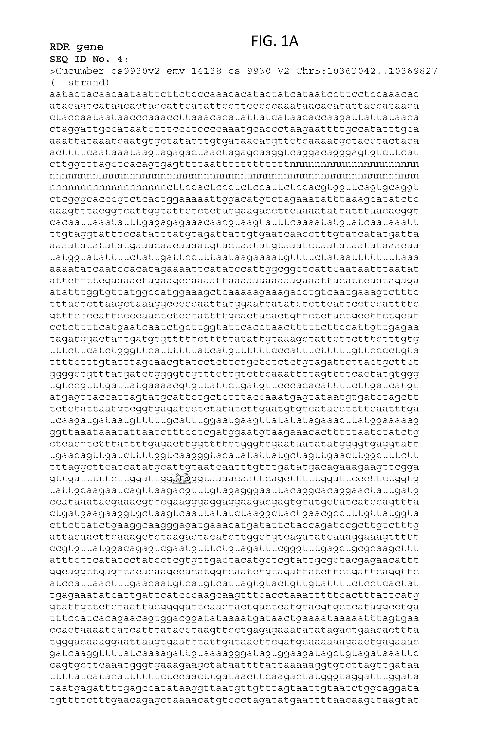 Modified gene conferring virus resistance