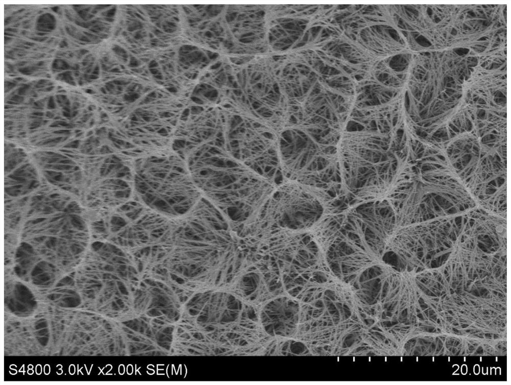 Titanium-based tin oxide antimony electrode modified with titanium dioxide network structure and preparation method thereof