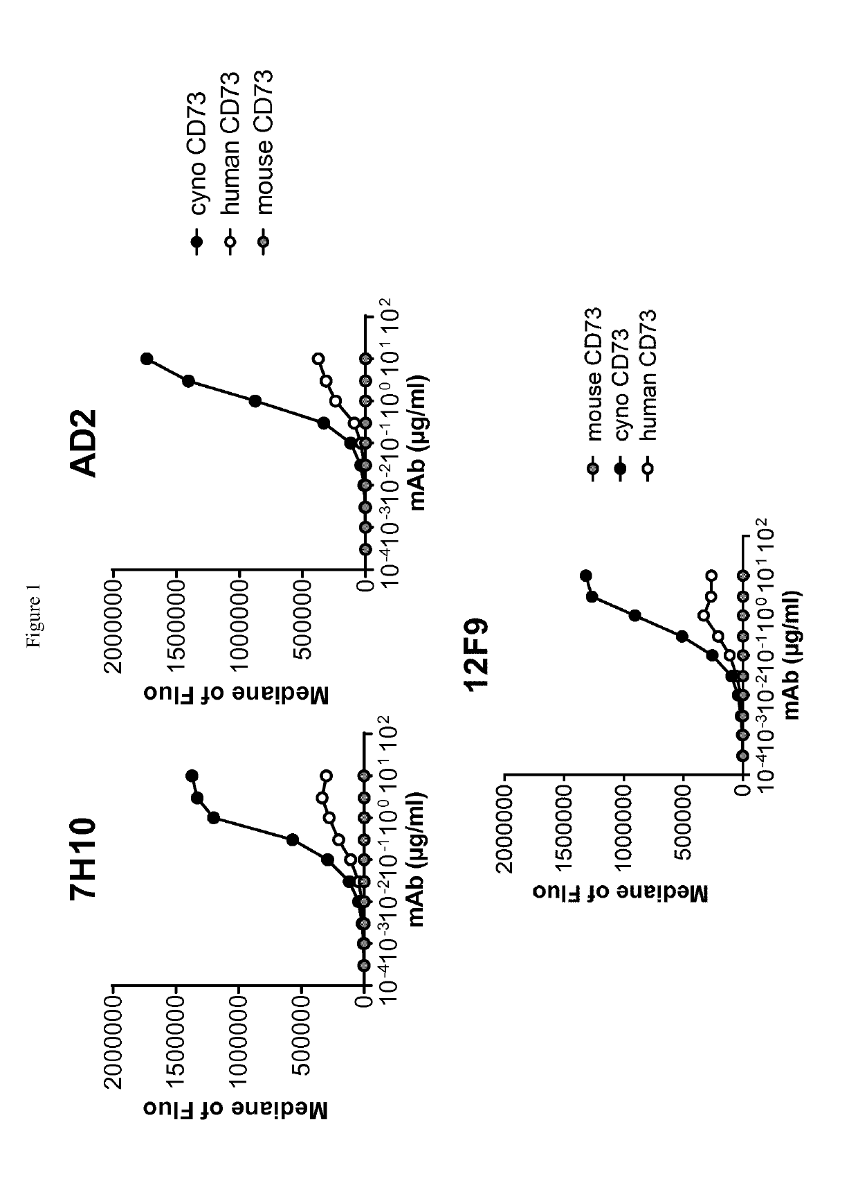 Cd73 blocking agents