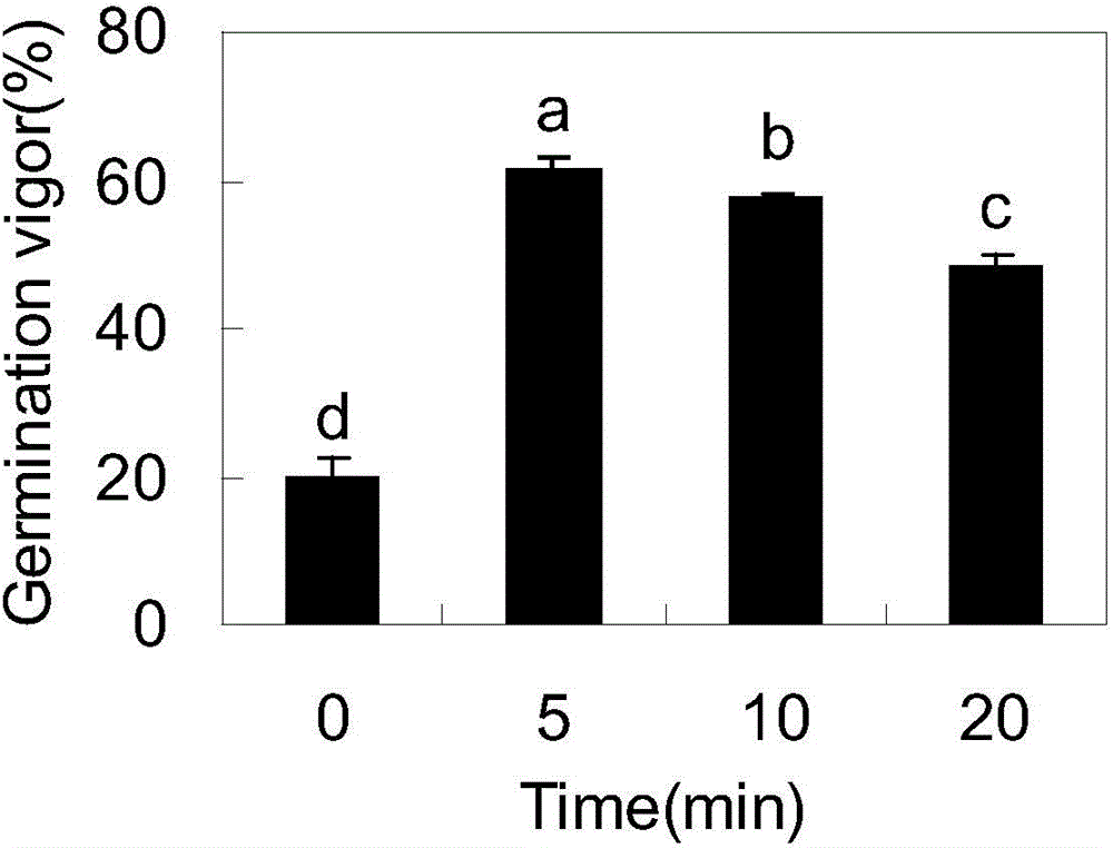 Method for promoting Codonopsis pilosula seed germination by utilizing bacteriabeneficial beneficial bacteria