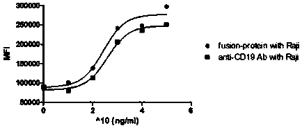 Multifunctional fusion protein for CD19&lt;+&gt; tumors and application of protein