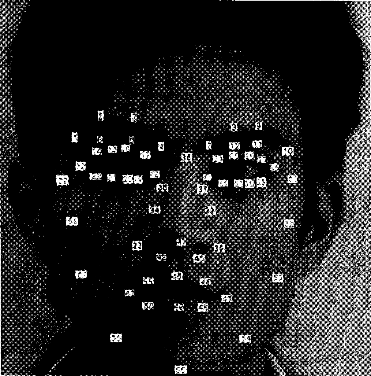 Three-dimensional transformation search method for extracting characteristic points in human face image