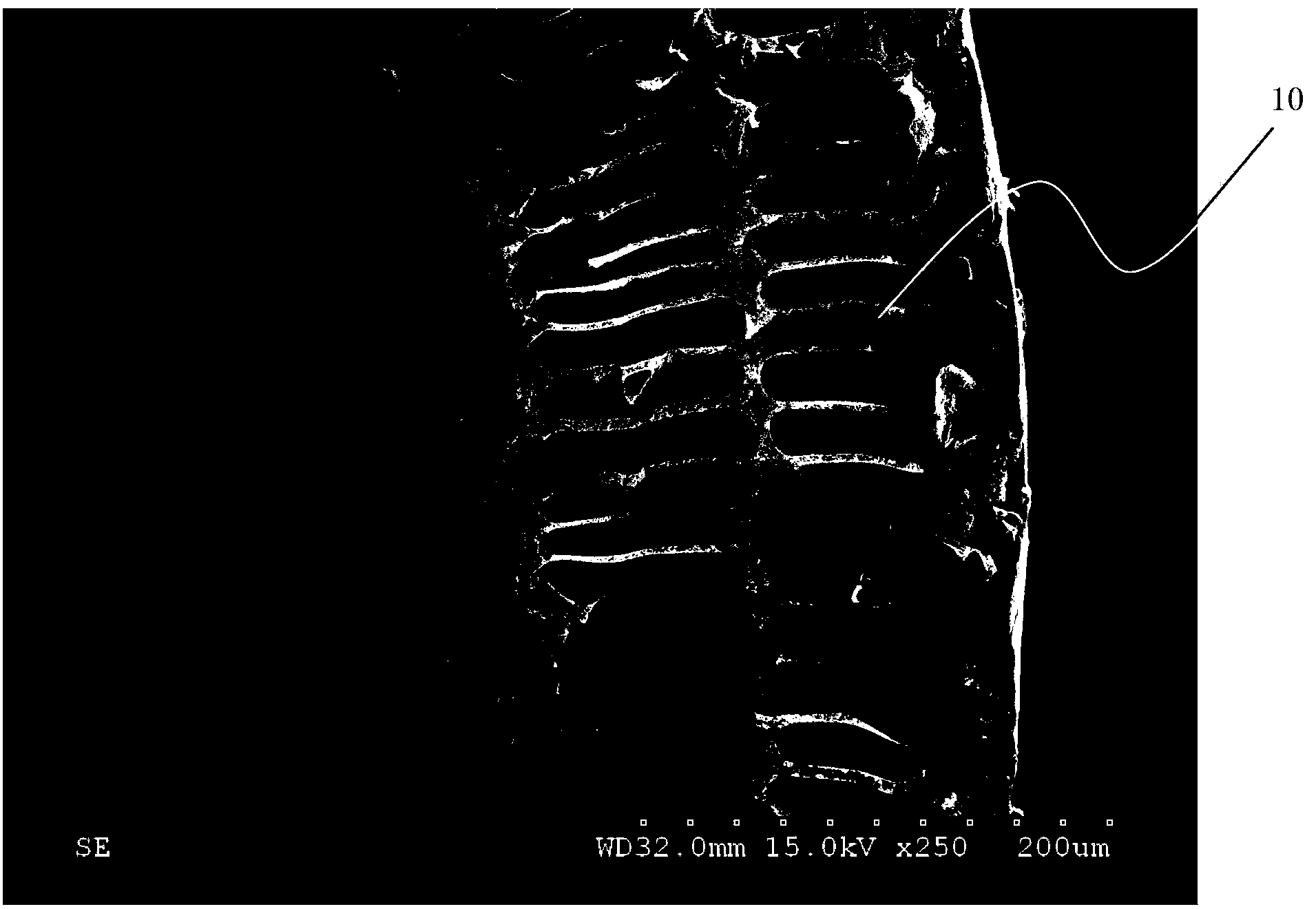 Preparation method of hollow fibrous membrane, hollow fibrous membrane, and latent solvent composition