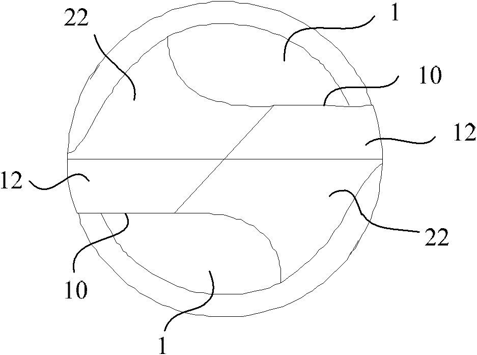 Micro drill and processing method thereof