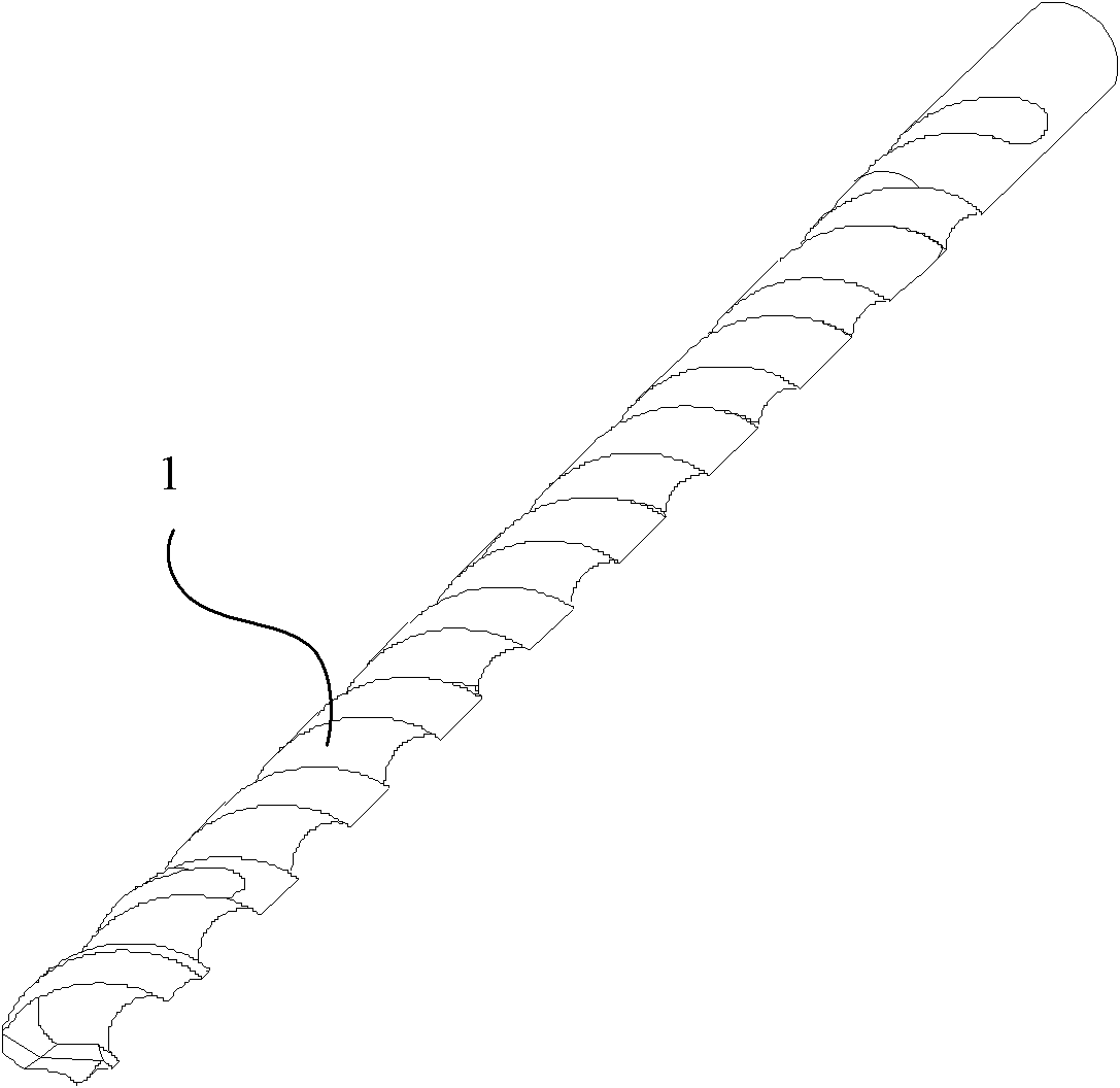 Micro drill and processing method thereof