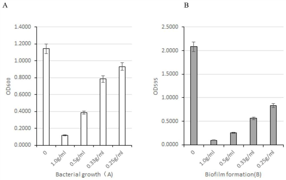 Preparation method and applications of melia azedarach fruit extract for inhibiting growth of pseudomonas aeruginosa and formation of biomembrane of pseudomonas aeruginosa